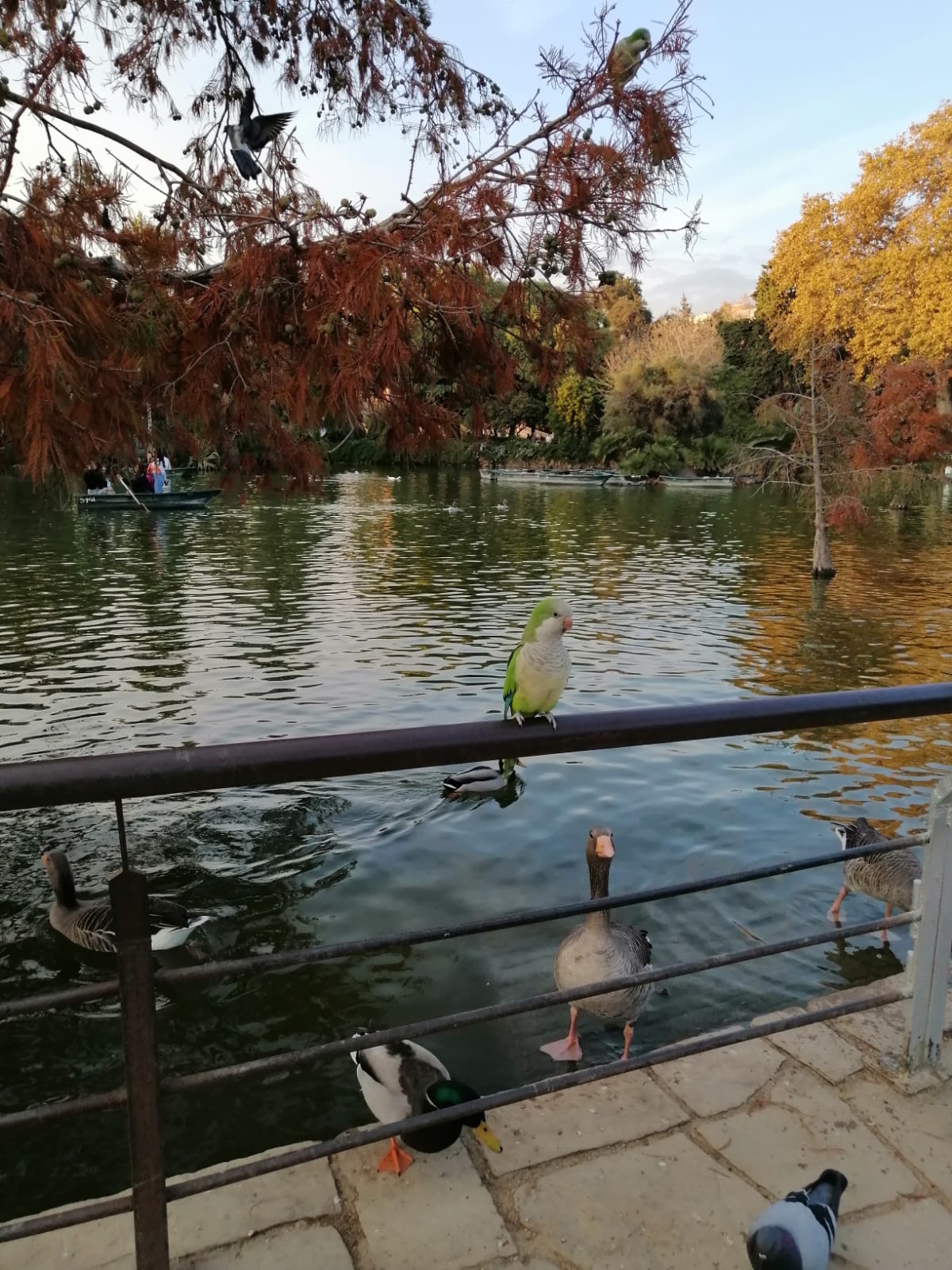 Laghetto Parc de la Ciutadella