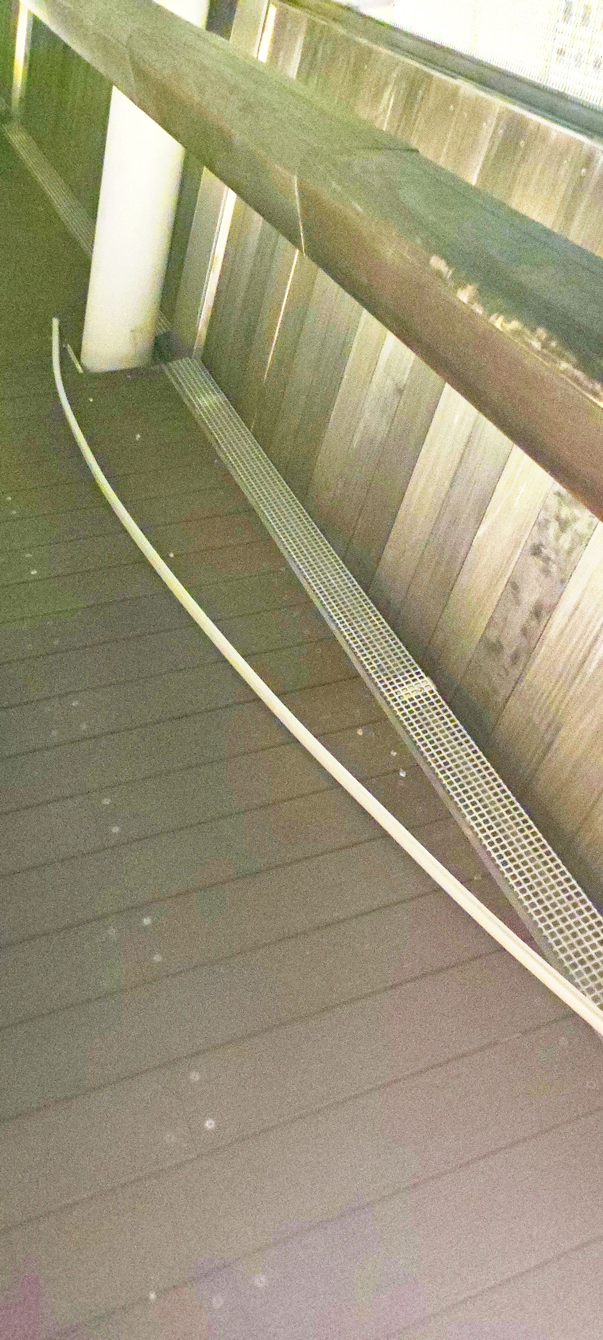 Degrado Gateway Gino Papuli