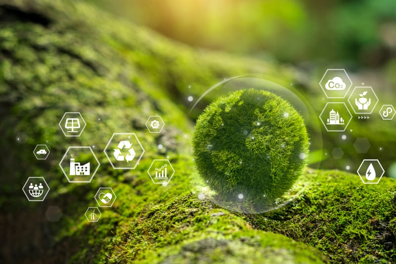 De l'économie circulaire à l'achat responsable : Transformer votre organisation pour demain