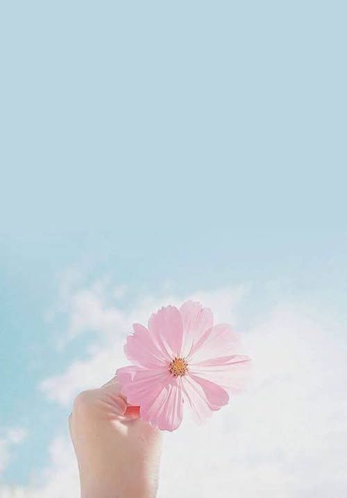 Lorsque vous Aimez, dites le ! Les faux semblants, le silence, la distance, n ont pas leur place ici. Même si la situation est difficile  faites le ! Les cœurs lourds de regrets et de tristesse se meurent. Il n y a rien d impossible ni même à être jugé ! Cassez les codes, Aimez ! Aimez, Aimez ! ❤️❤️❤️