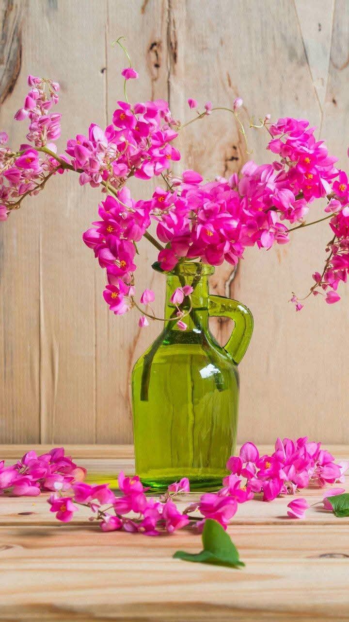 Nouveautés - tirages en direct et synchronicites dès le 01.04.2026 cliquez sur en savoir plus pour voir la vidéo