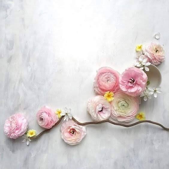 Titre du jour : ici, nous parlons synchronicites. En écoutant ce titre, vous y trouverez certainement un souvenir, un signe, un sens, un mot, d une grande importance. 20.02.2026 ❤️ te amo - Rihanna ❤️. Tapez ce titre via la plate-forme de votre choix.