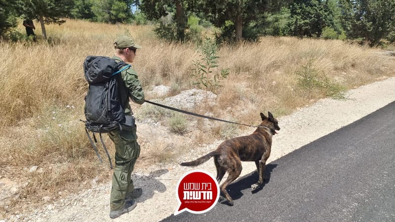 180 ימים לחיפושים אחר הנעדר: כלבני יכ"ל שבו לחיפושים בתא שטח ספציפי בגזרת בית שמש