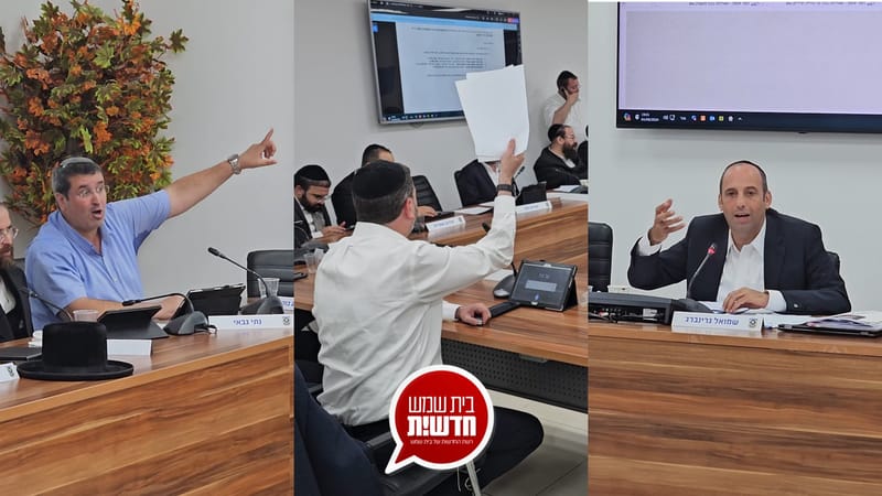 Summary of the City Council: the approved sections and allocations - the demonstrations at the entrance of the building and the storms in the plenum