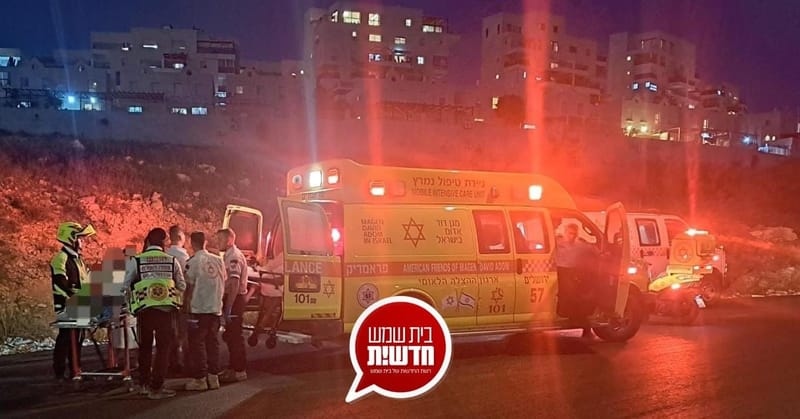 רמת בית שמש ד': ילד בן 8 נפל מגובה בגינת משחקים - מצבו בינוני