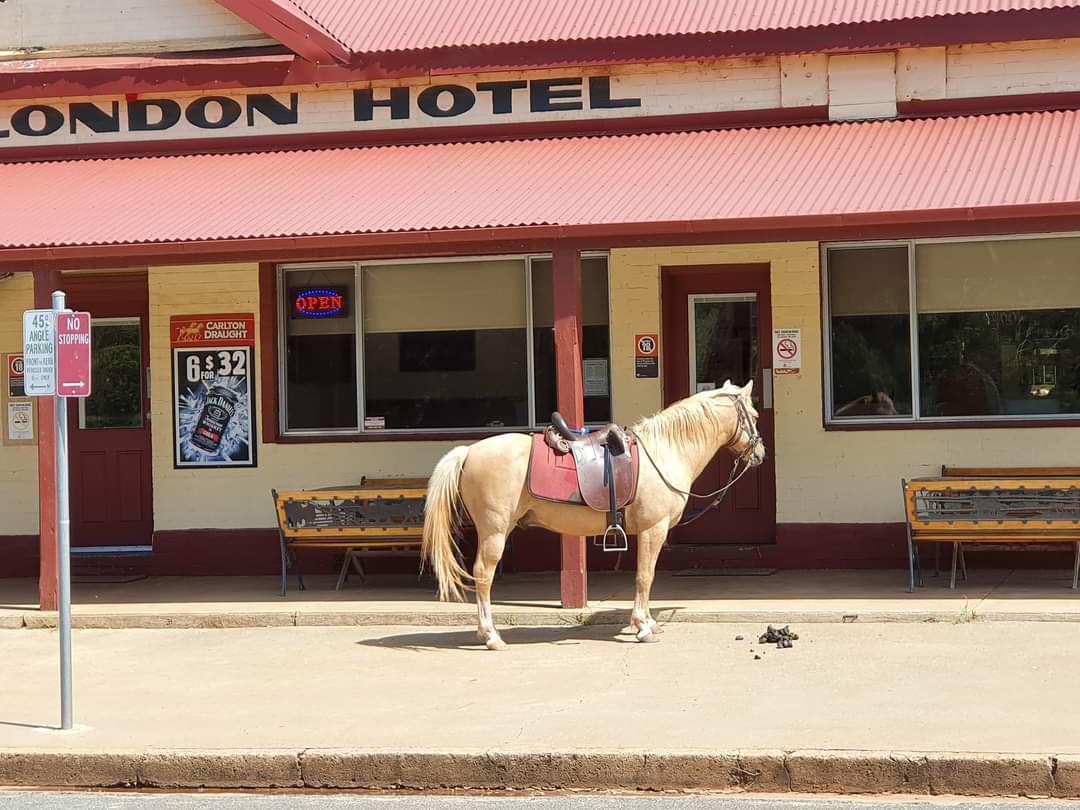 One horse Pub