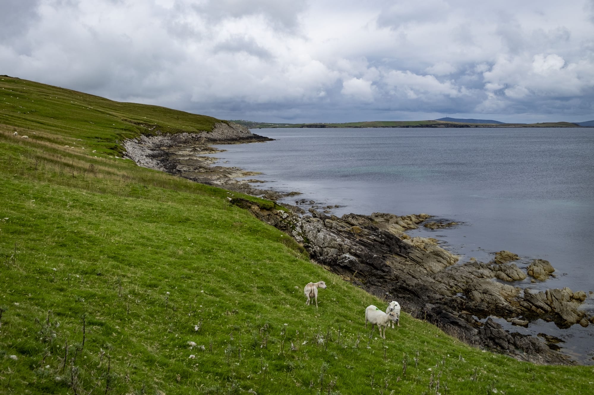 Shetland