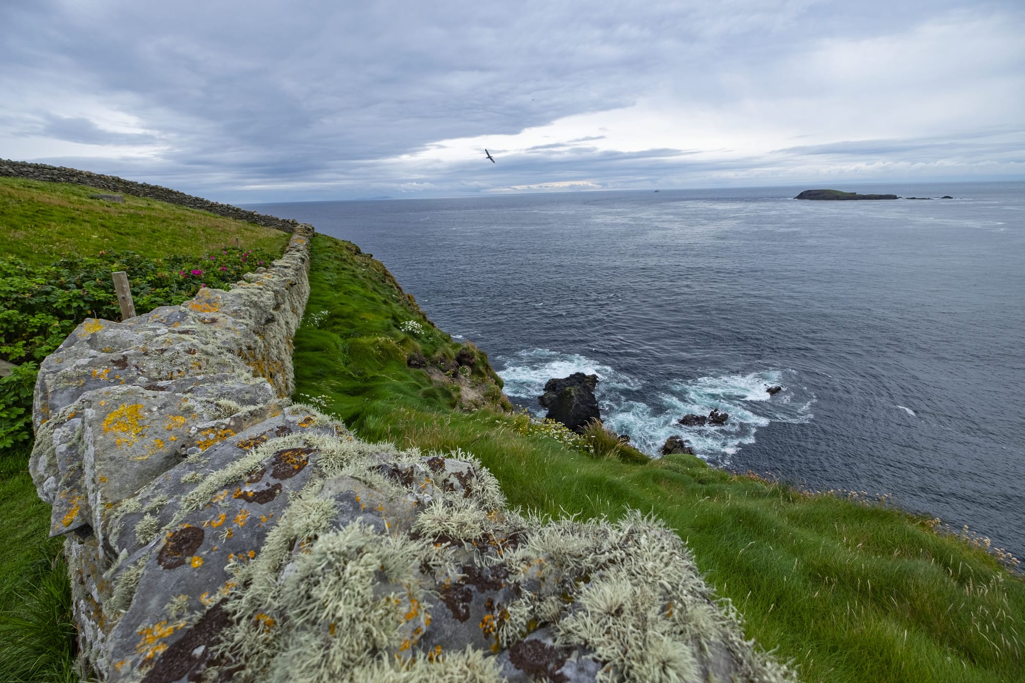 Shetland