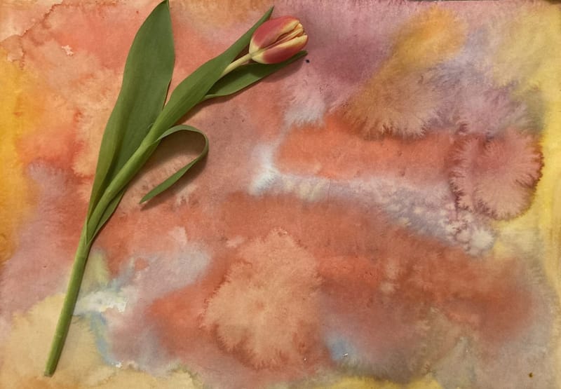 A Katarzisz Komplex Művészetterápia módszere