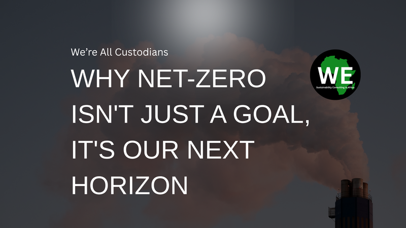 The Unseen Revolution: Why Net-Zero Isn't Just a Goal, It's Our Next Horizon