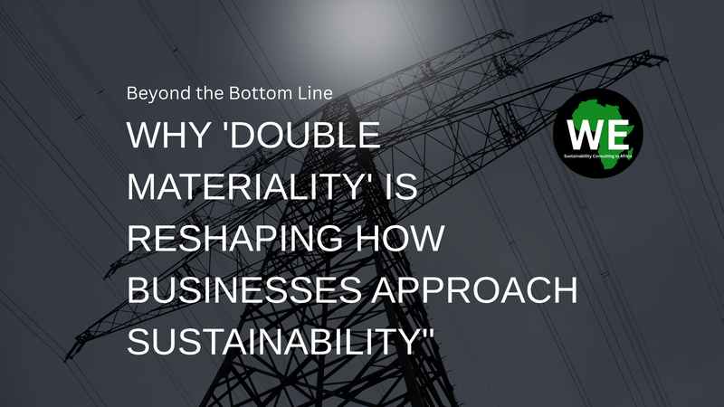 What Matters Most? Understanding Materiality in Sustainability