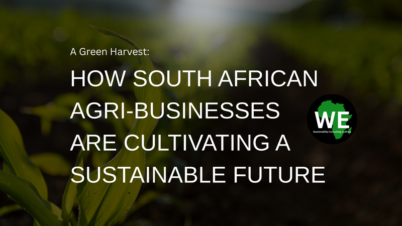 A Green Harvest: How South African Agri-businesses are Cultivating a Sustainable Future