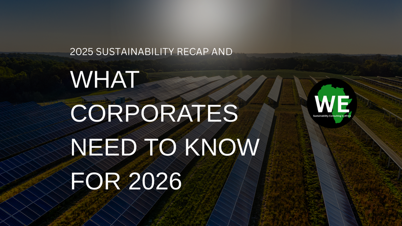 2025 Recap: The Year Sustainability Got Real & Where to Next for Corporates