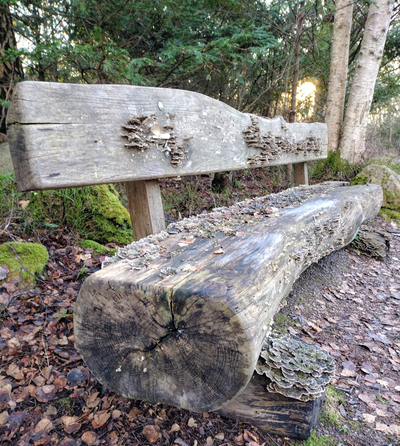 Det fanns inga rutor kvar