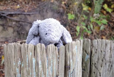 Hand upp den som vill vara maskot