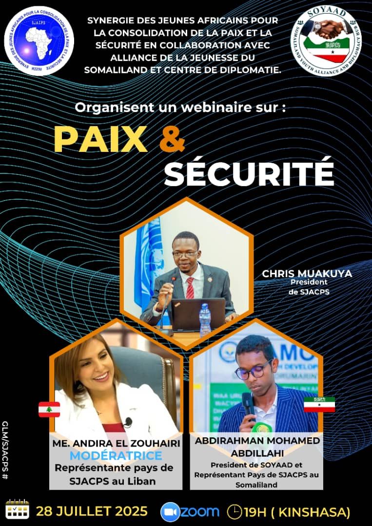 Webinar on: Peace and Security (2)
