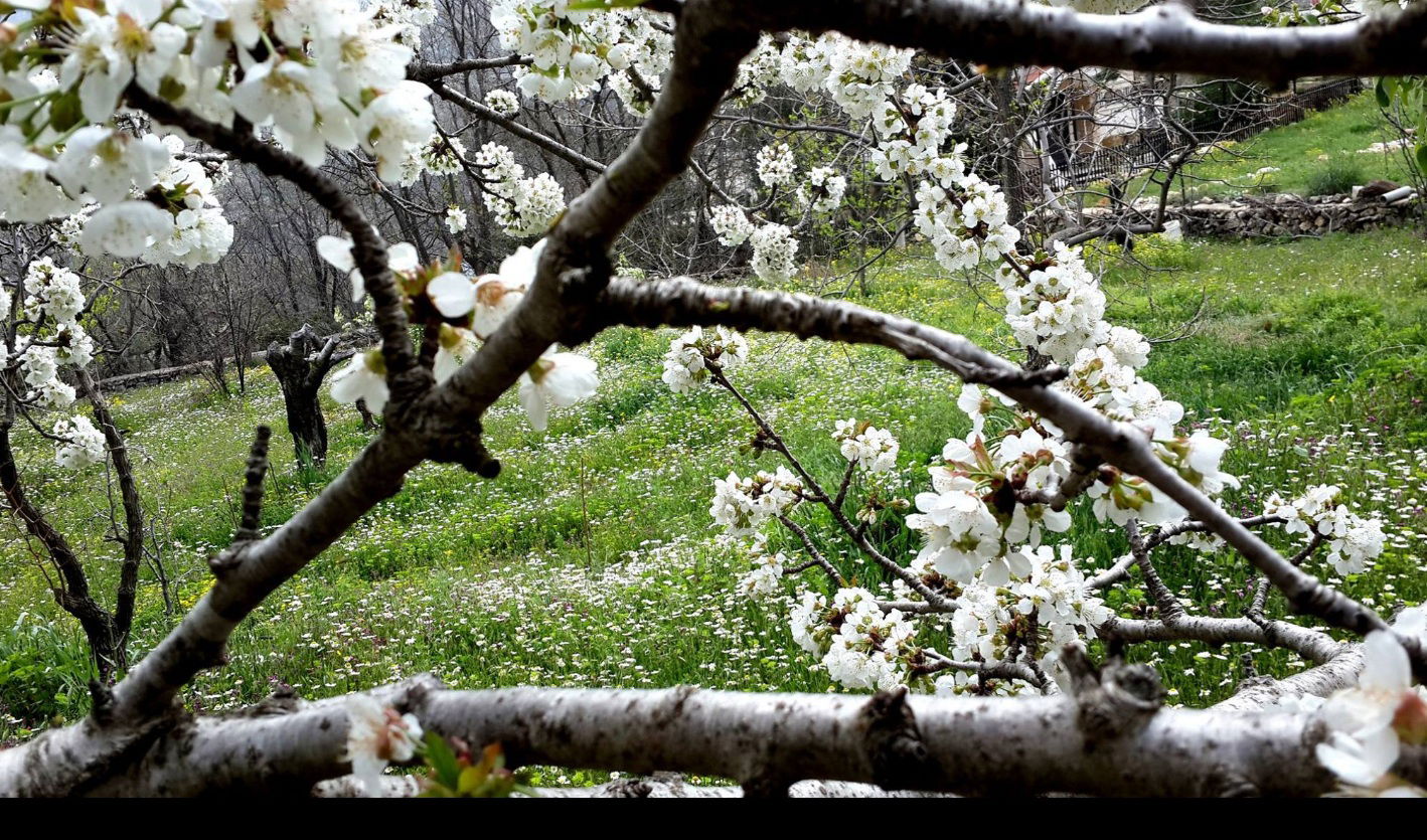 بتلون الشوف -منطقة من لبنان