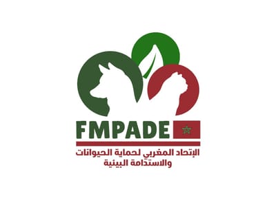 كتاب مفتوح  الى المنظمات المحلية والدولية التي تعنى بالرفق بالحيوان