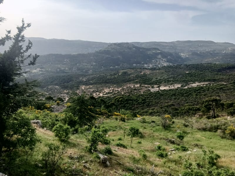 الشوف: مرآة الجبل وذاكرة التوازن اللبناني: