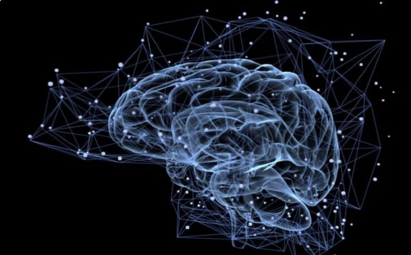 عَقْلَنَةٌ … 🍂