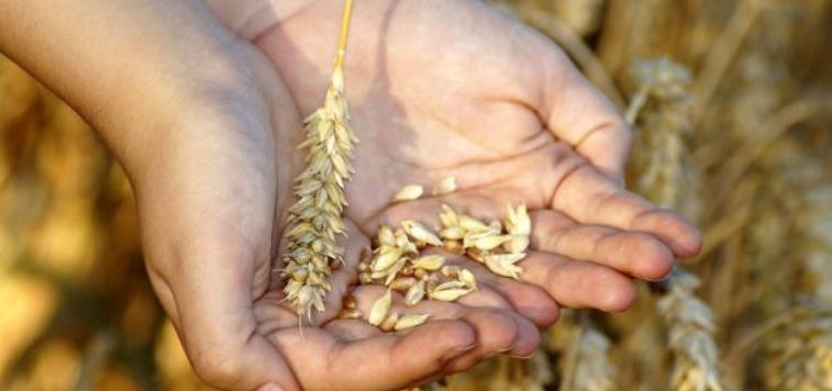 الرِّزْقُ ،،، 🍂 - الكاتب الدكتور عماد الاعور