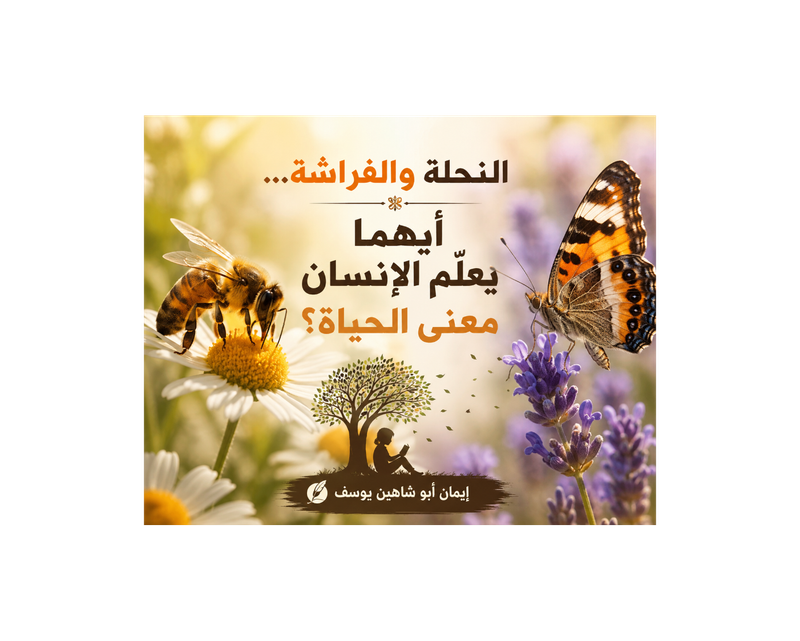 النحلة والفراشة... أيهما يعلِّم الإنسان معنى الحياة؟-إيمان أبو شاهين يوسف