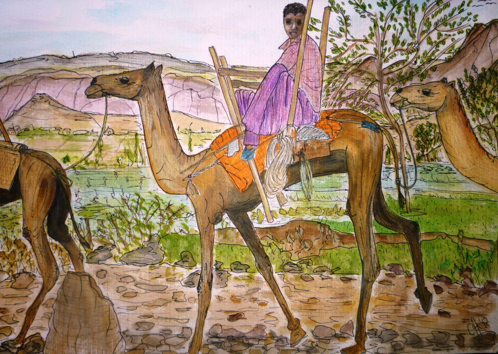 ART EXHIBITION - 'OUTSIDE LOOKING IN'