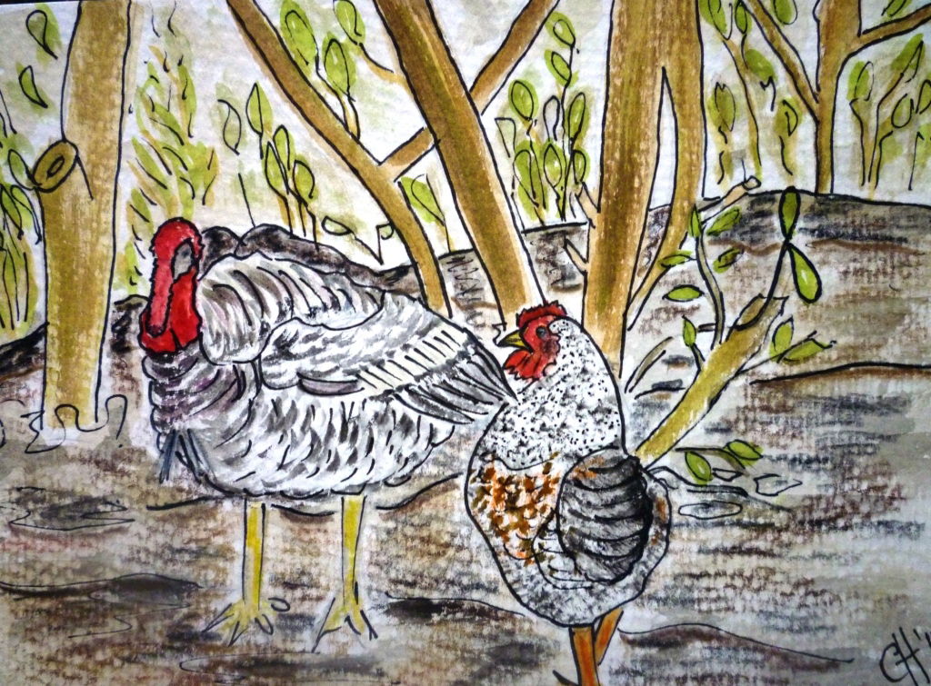 ART EXHIBITION - 'OUTSIDE LOOKING IN'