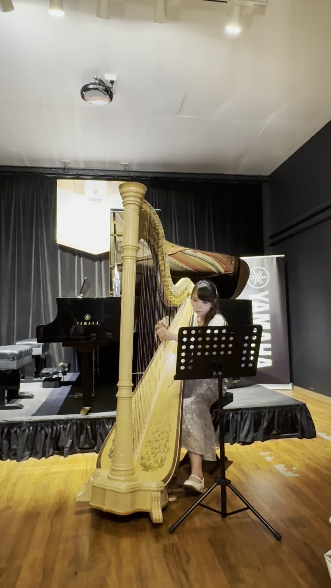 Live recording of harp performance on 'Georgia on my mind', July 2024