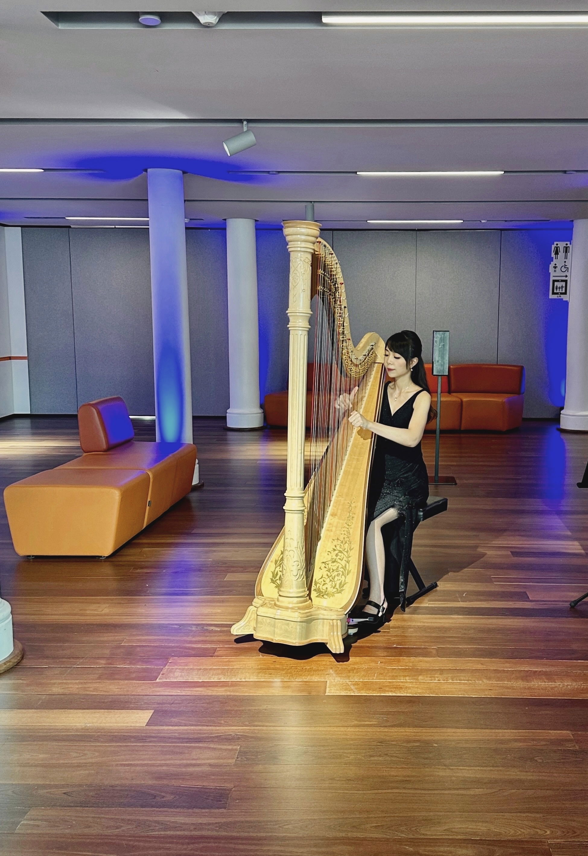Harp music for WA Museum, Dec 2024