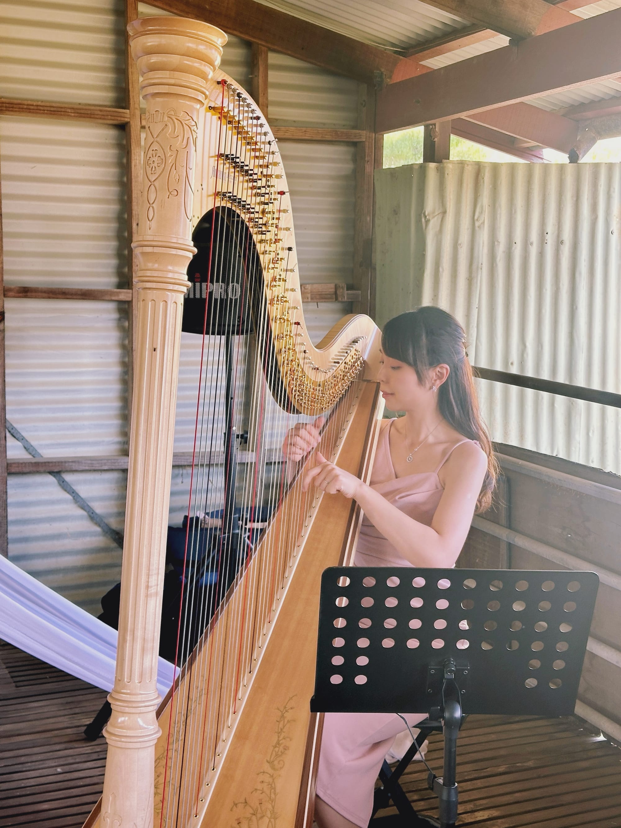 Harpist at Chapel Farm, Nov 2024