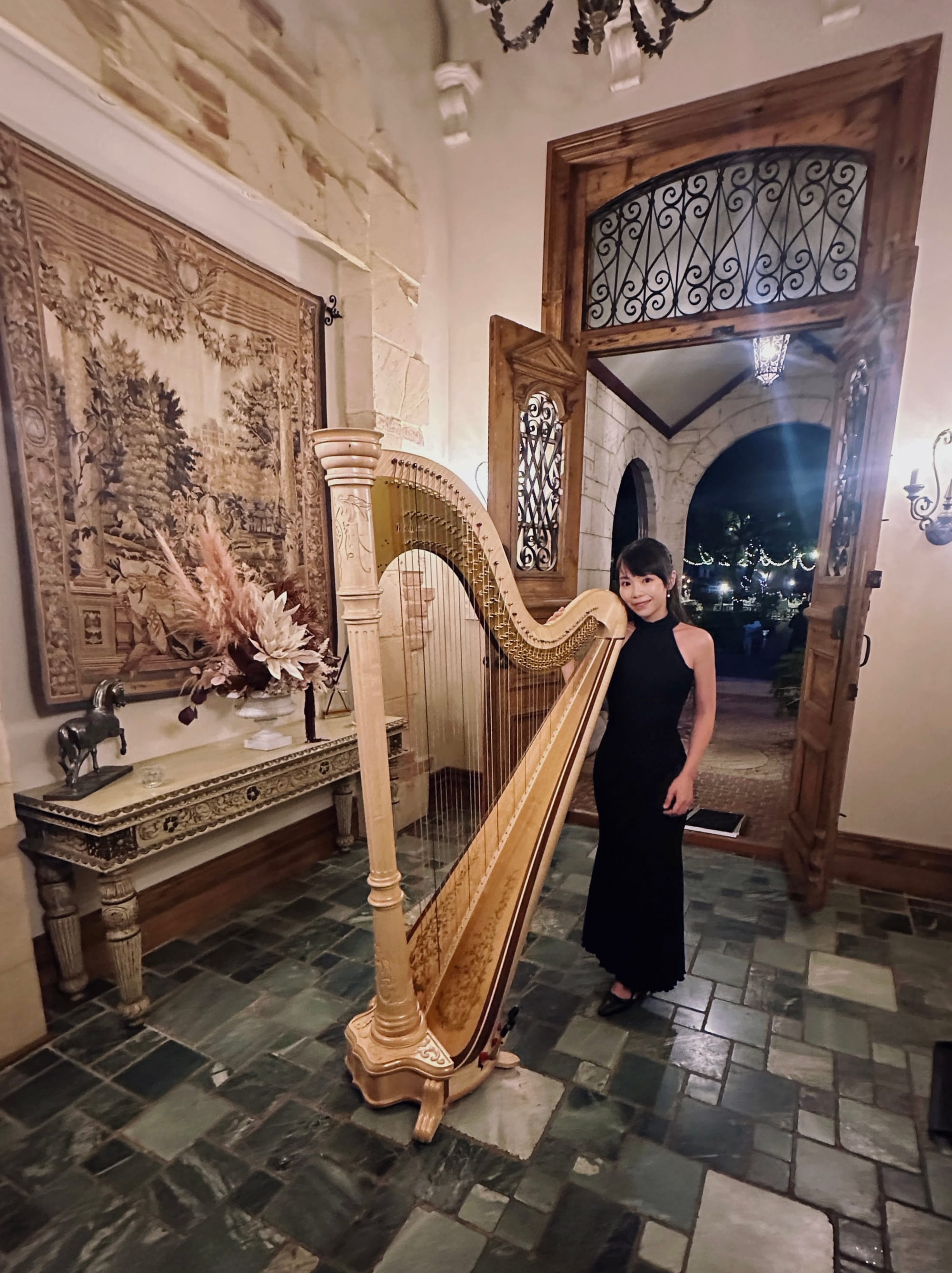 Wedding canape harp music - Brookleigh Estate April 2025