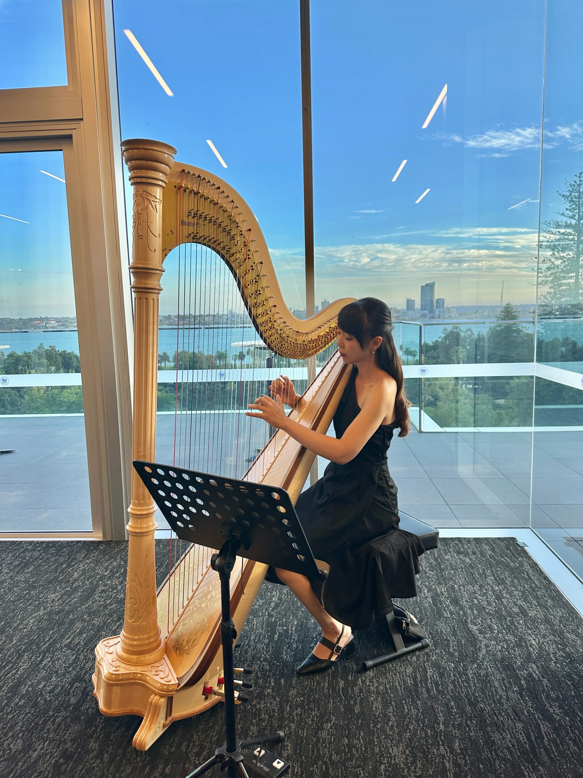 Harp Music for Commercial Event in Perth CBD, April 2025
