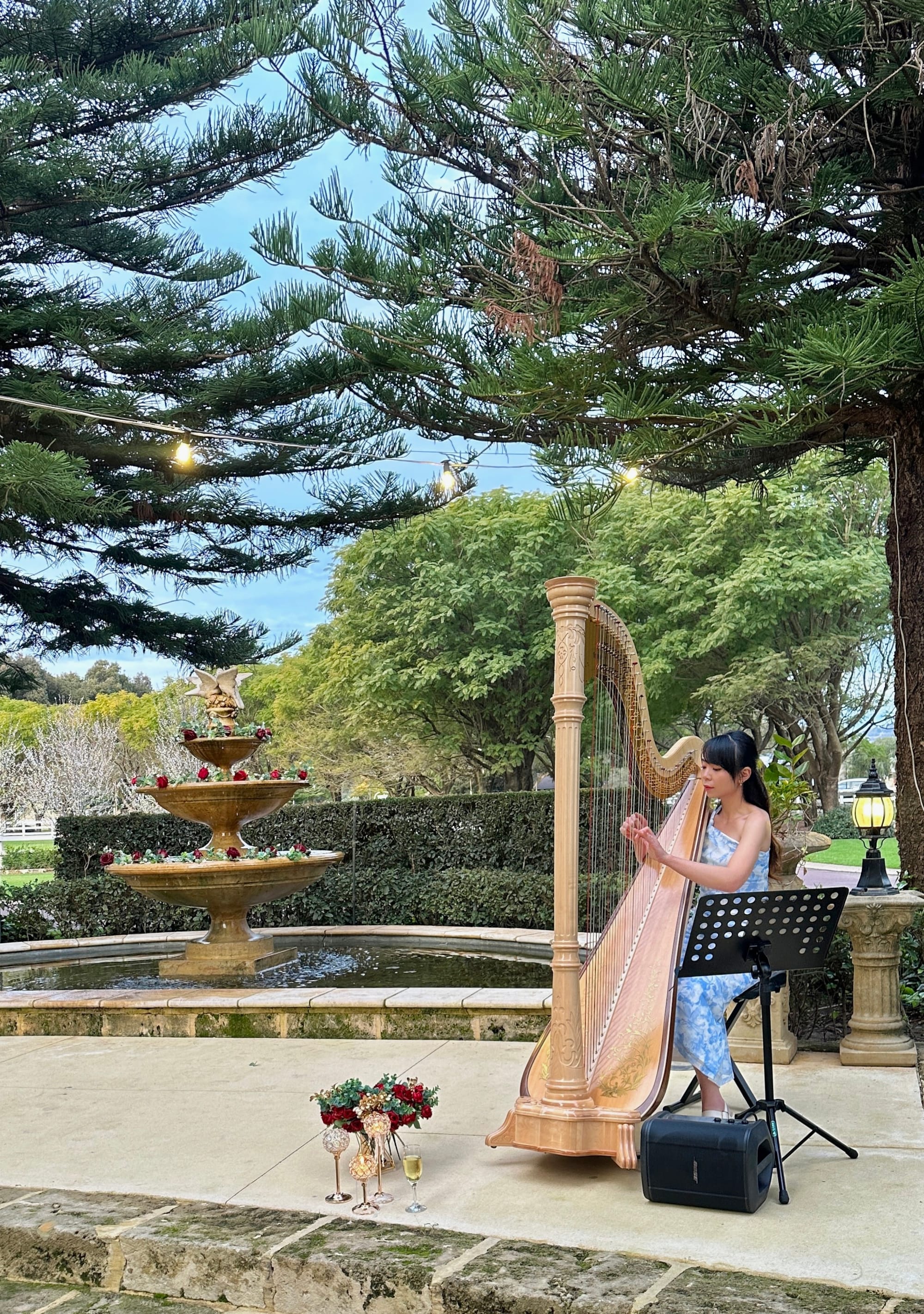 Harp Canape Music for Wedding, Swan Valley August 2025