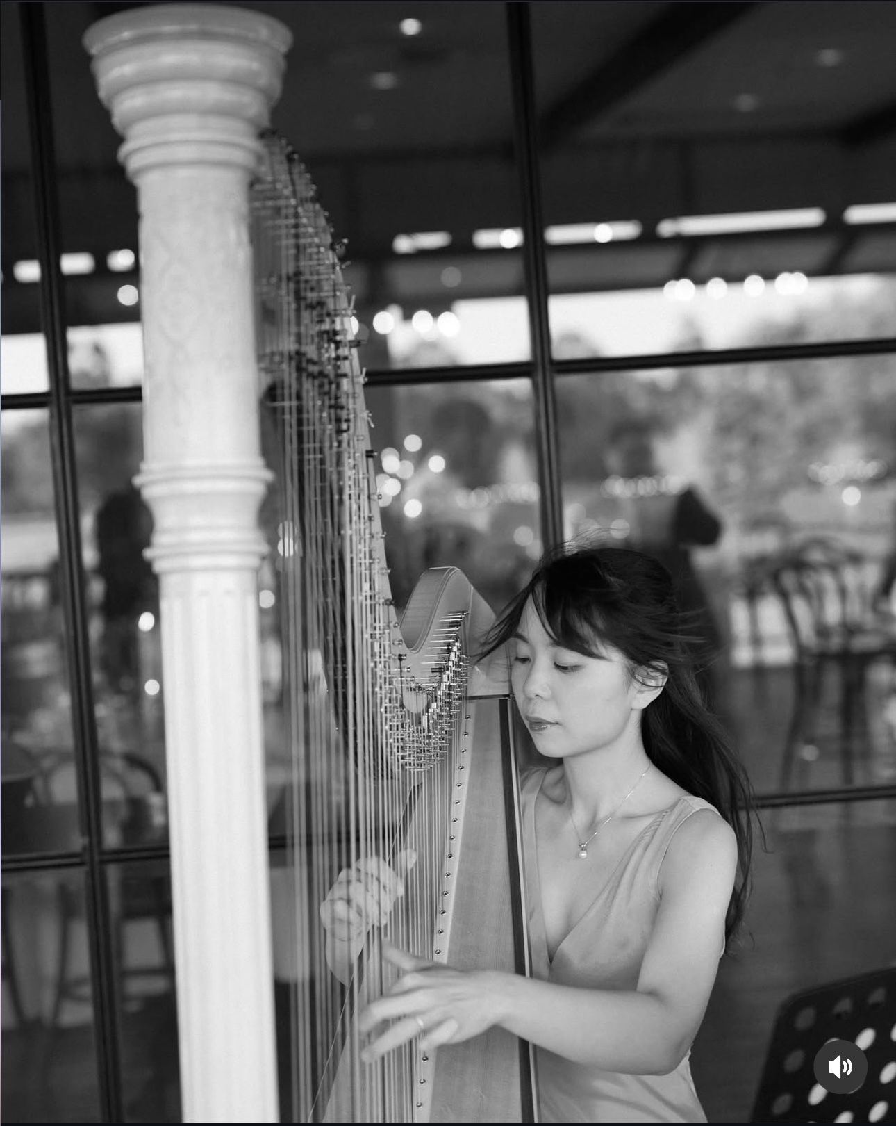 Wedding Canape Harp Music, Sep 2025