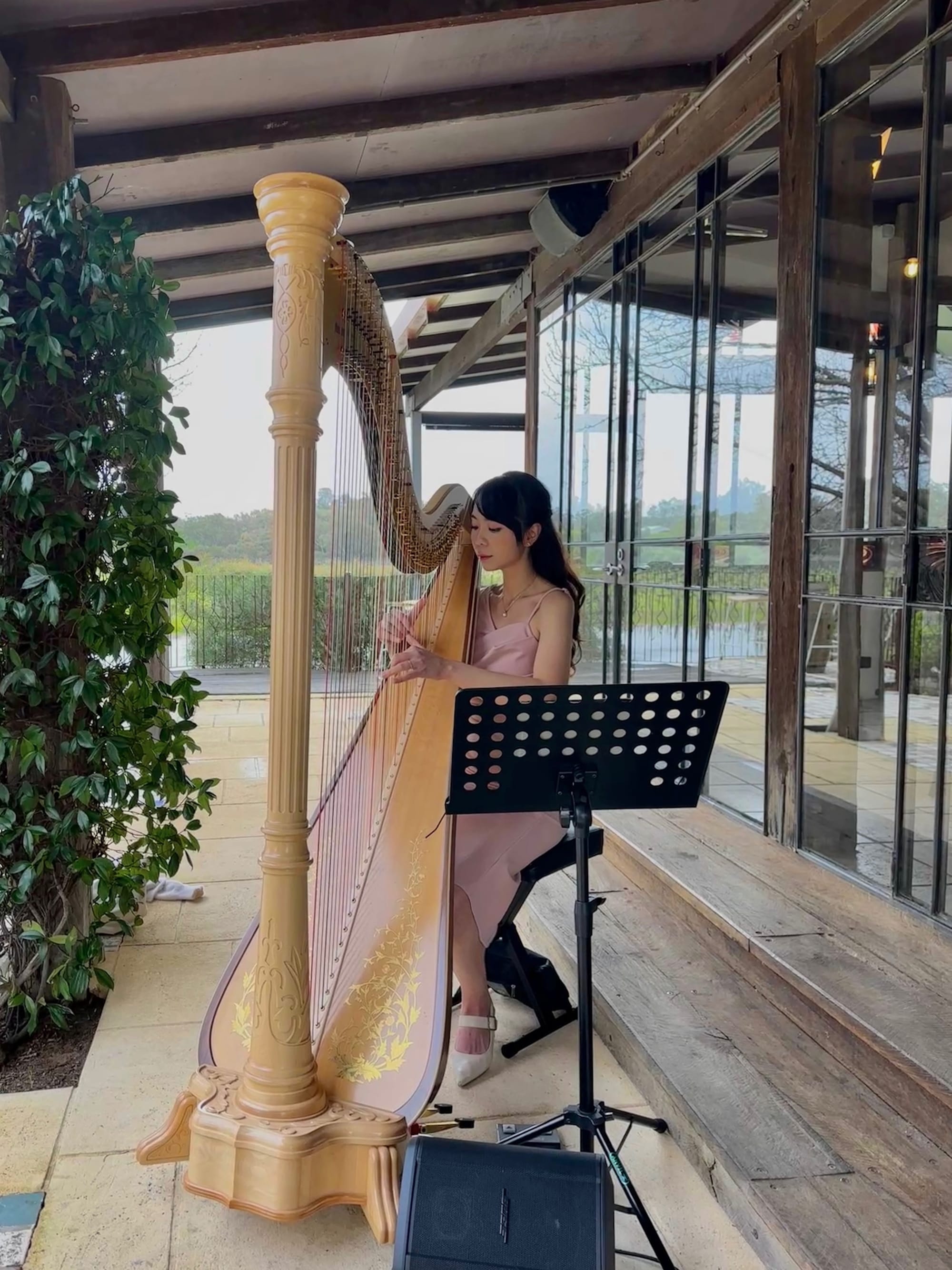 Harp Music for Wedding Ceremony + Canape, Swan Valley Sep 2025