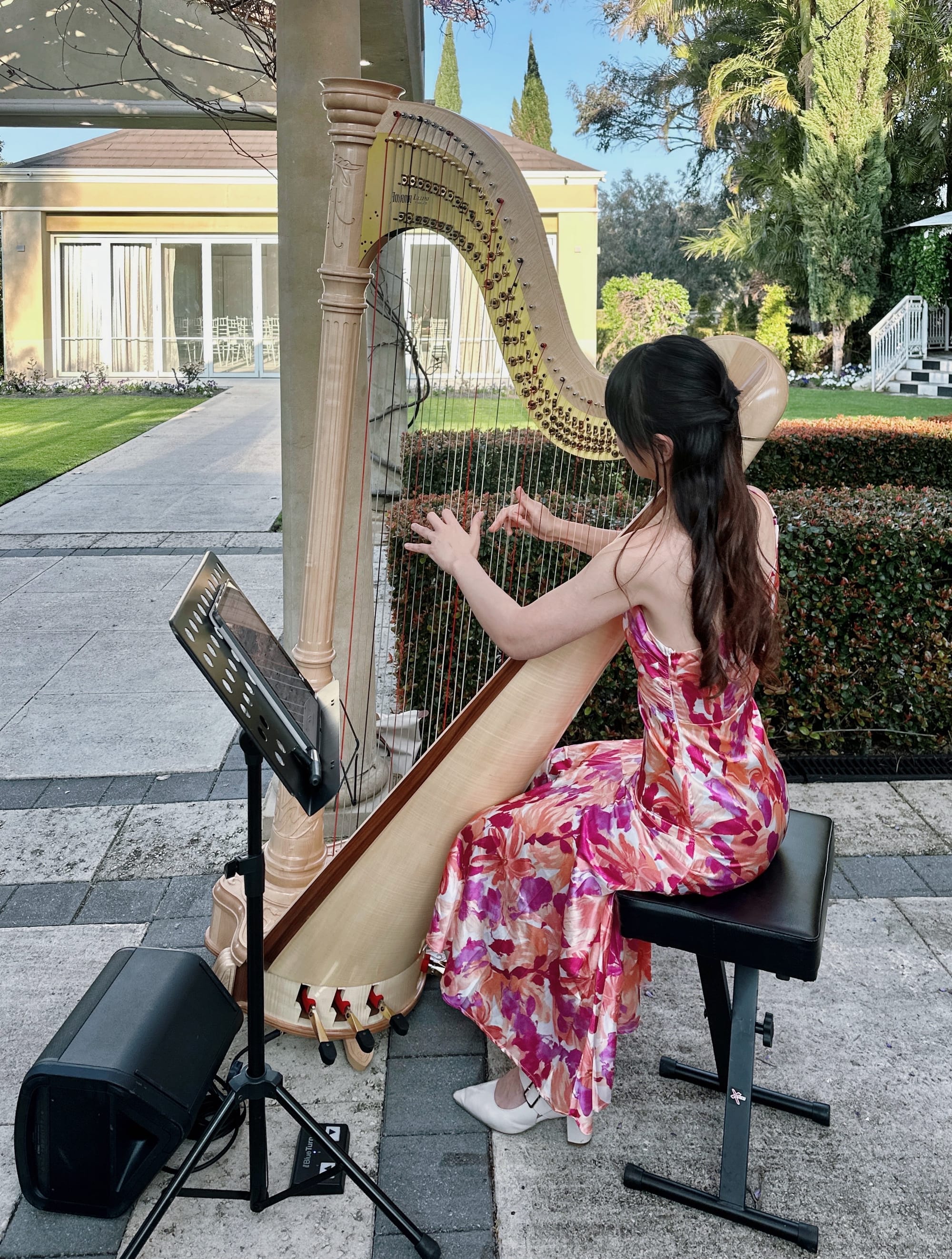 Harp Music for cocktail hour, Swan Valley, Nov 2025