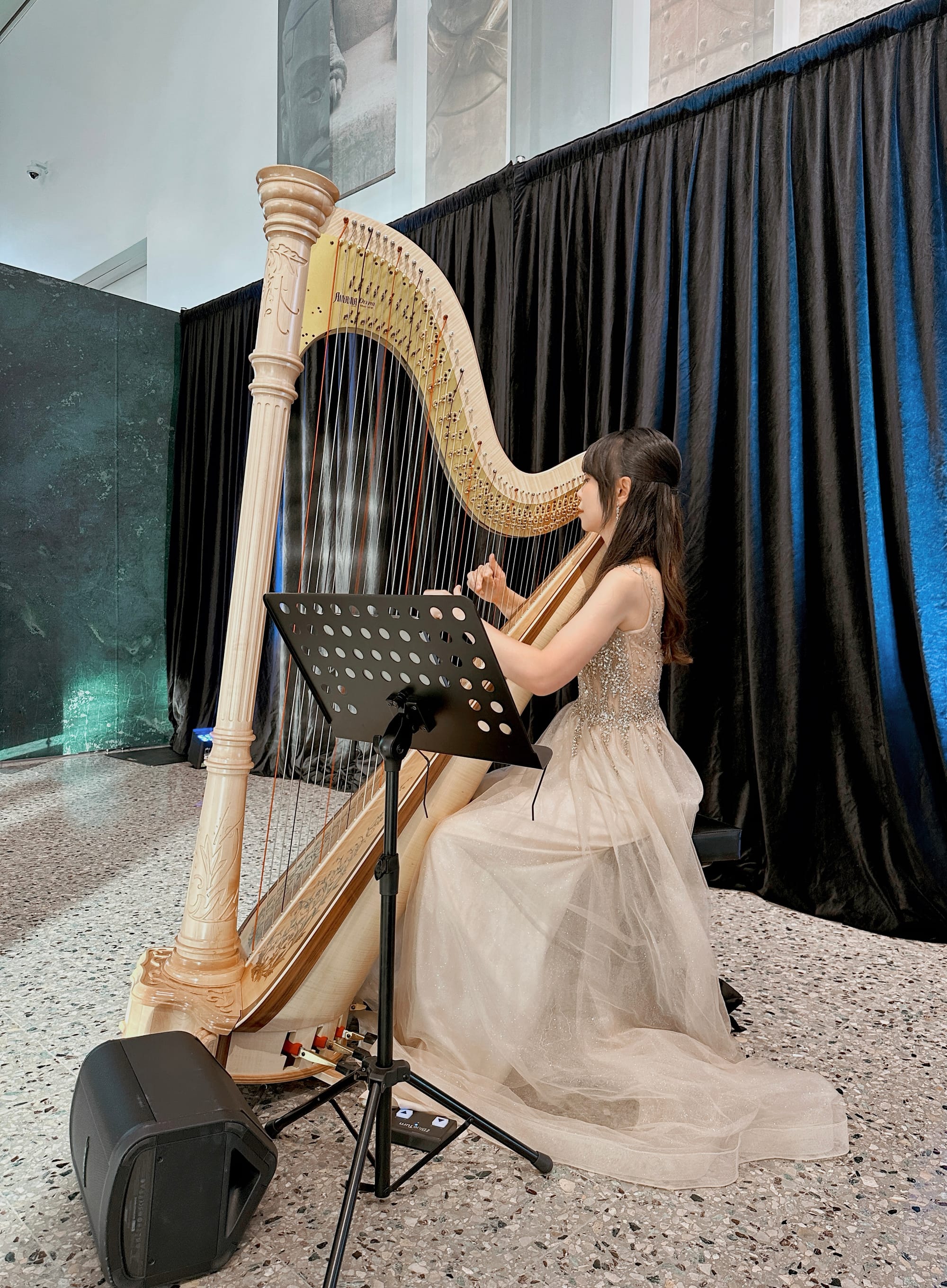 Harpist for Lester prize, WA Museum Perth, Nov 2025