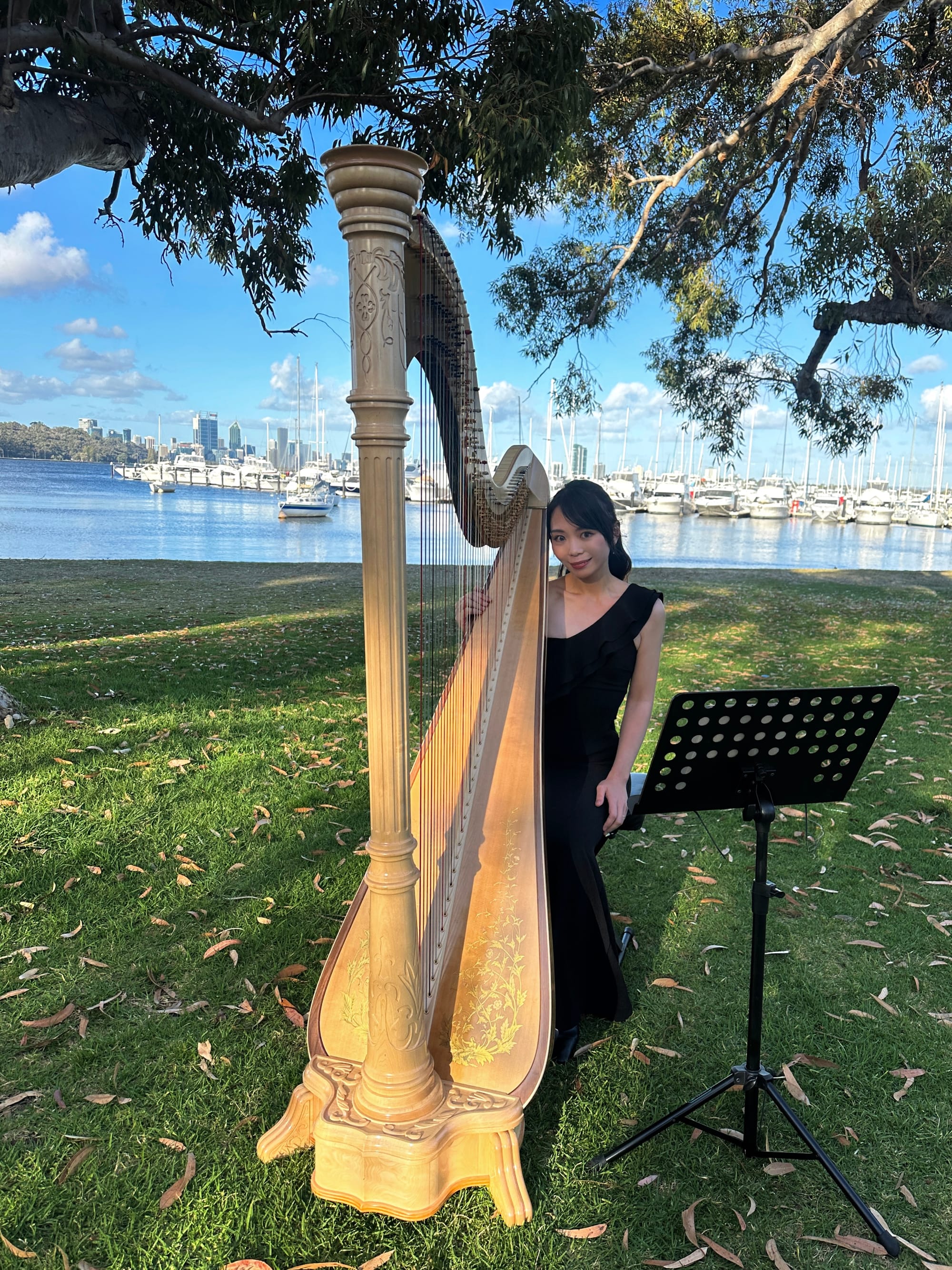Harp and Violin duet for wedding at Matilda Bay, Nov 2025