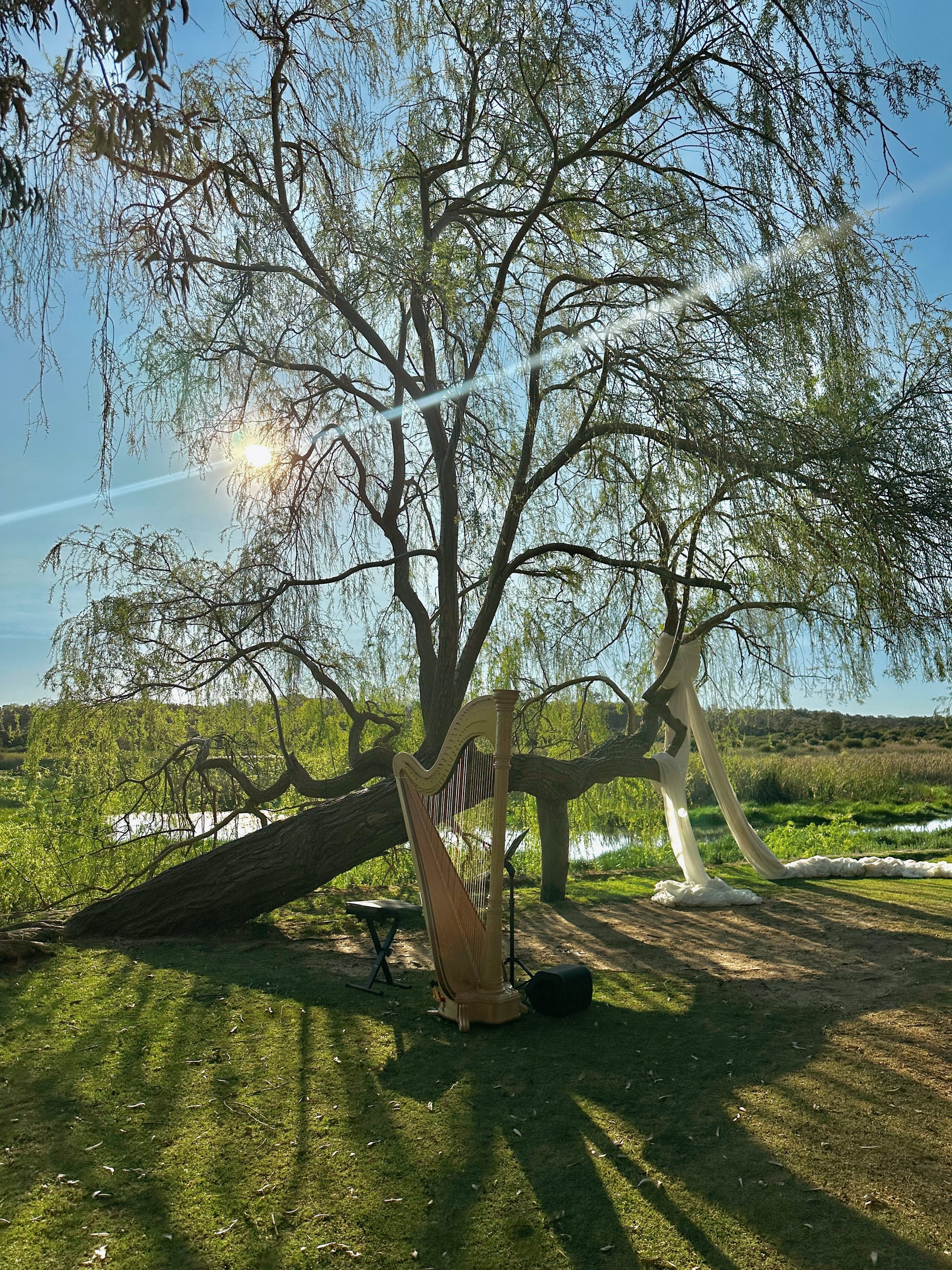 Wedding Ceremony Harp Music, Yanchep, Sep 2025