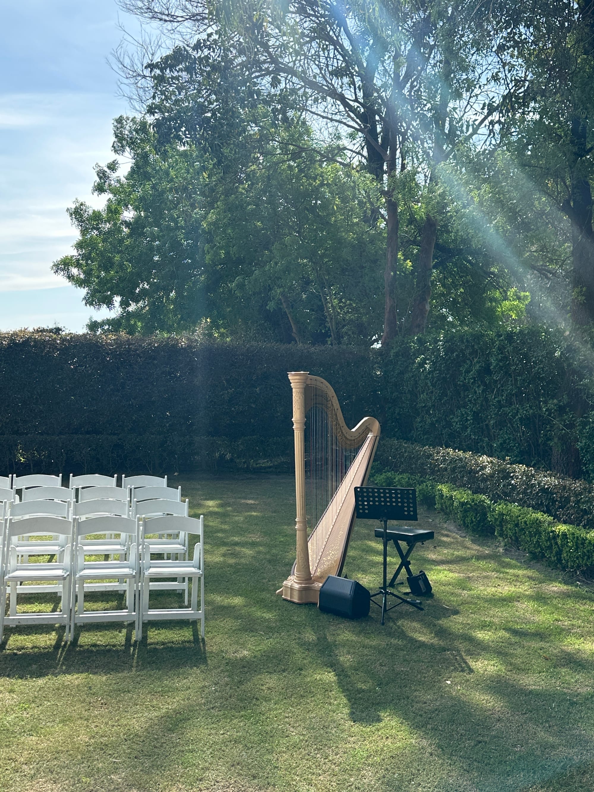 Solo Harpist for Wedding Ceremony, Swan Valley, Oct 2025