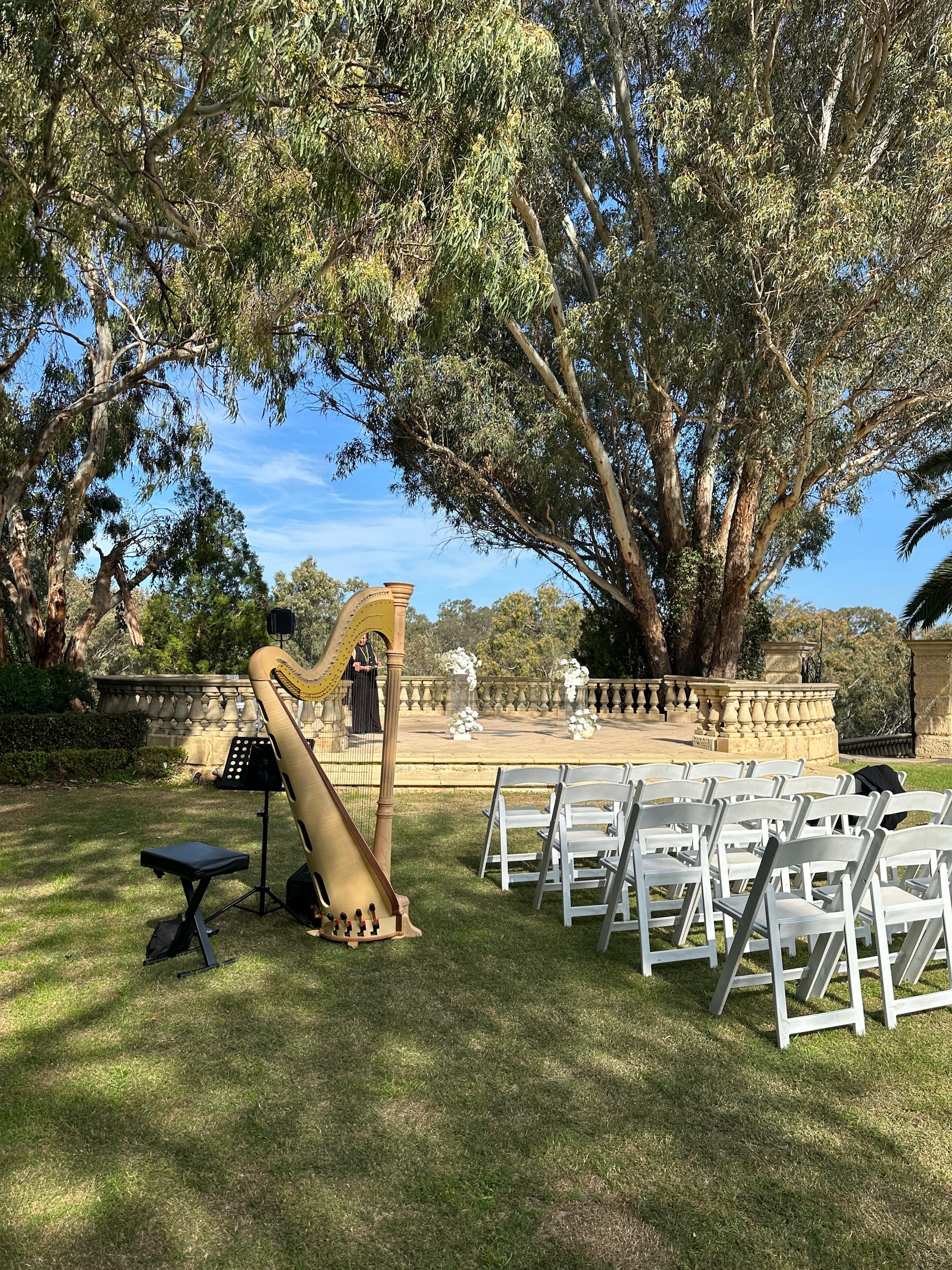 Harp Music for Wedding Ceremony in Caversham, Oct 2025