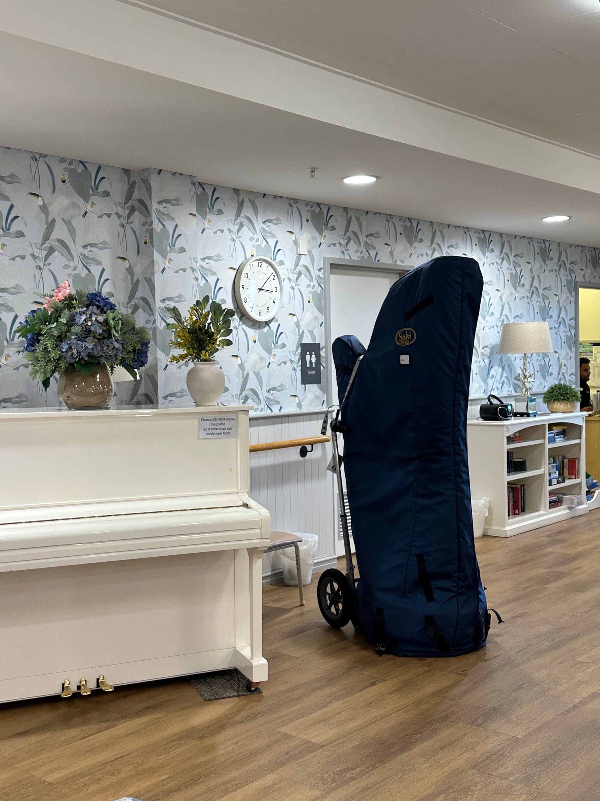 Harp Recital at Maylands, Oct 2025