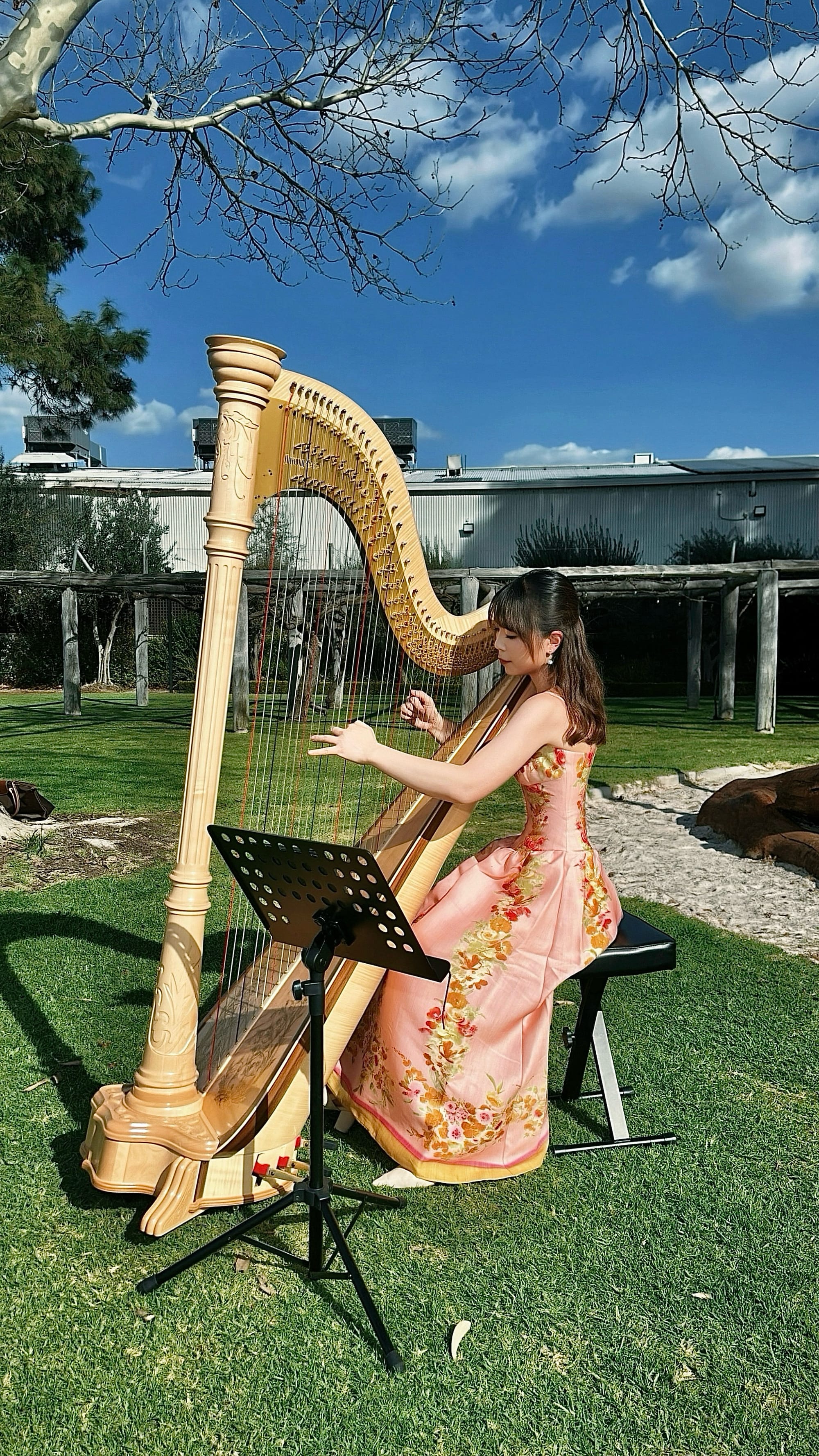 August 2026, Solo Harp for Wedding Ceremony + Canape