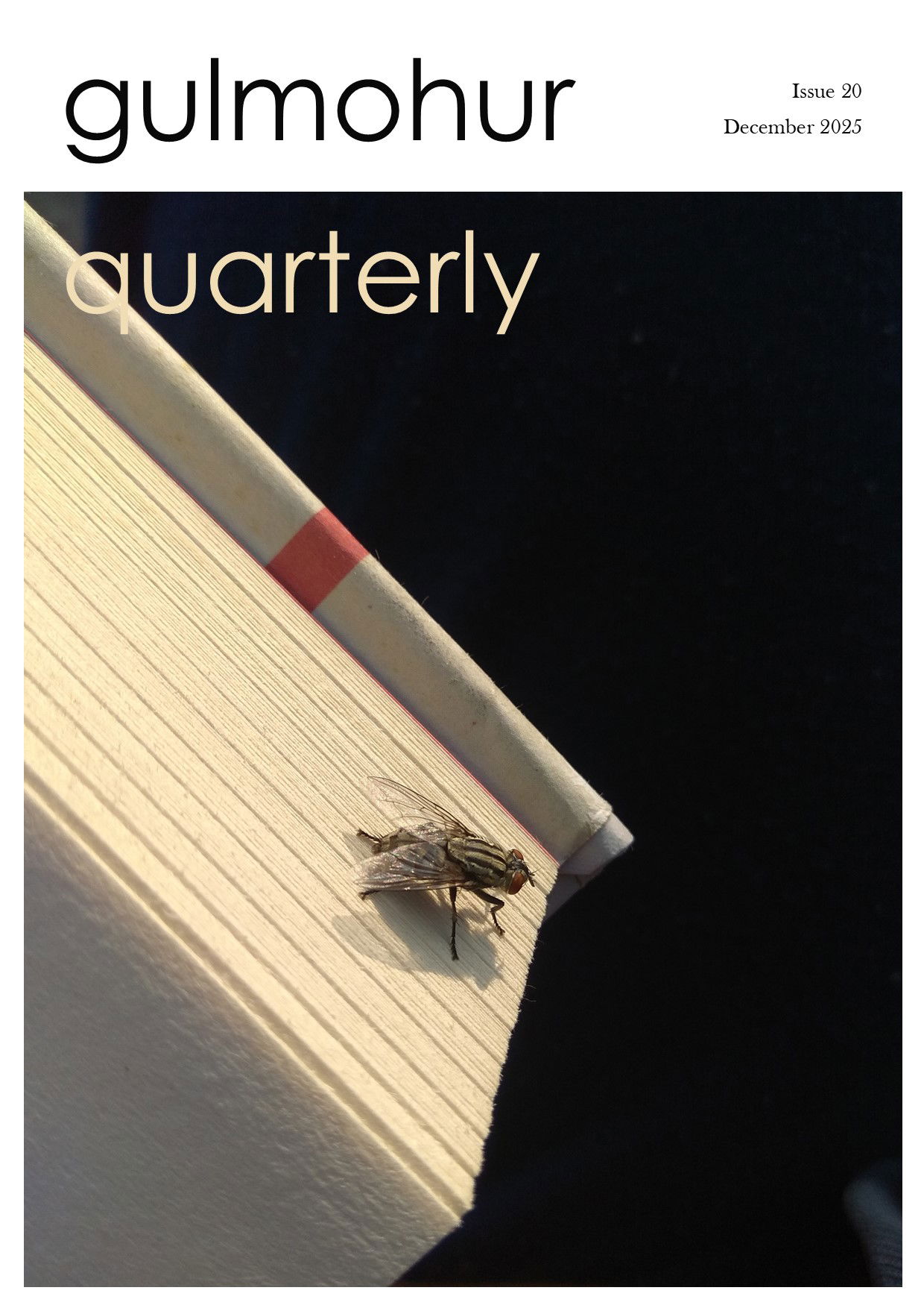 Editorial: Issue 20/ December 2025
