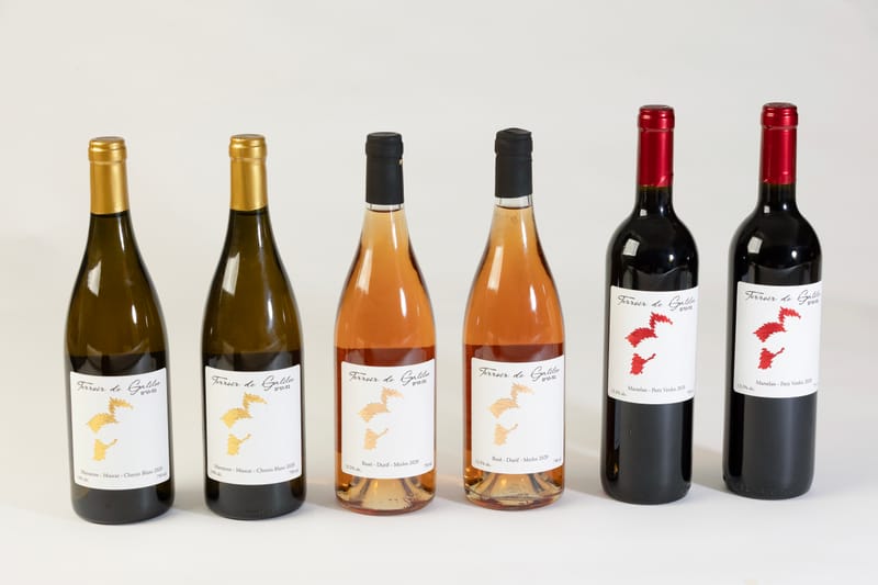 צילום מוצרים לאתרים, לרשתות חברתיות ולהדפסים