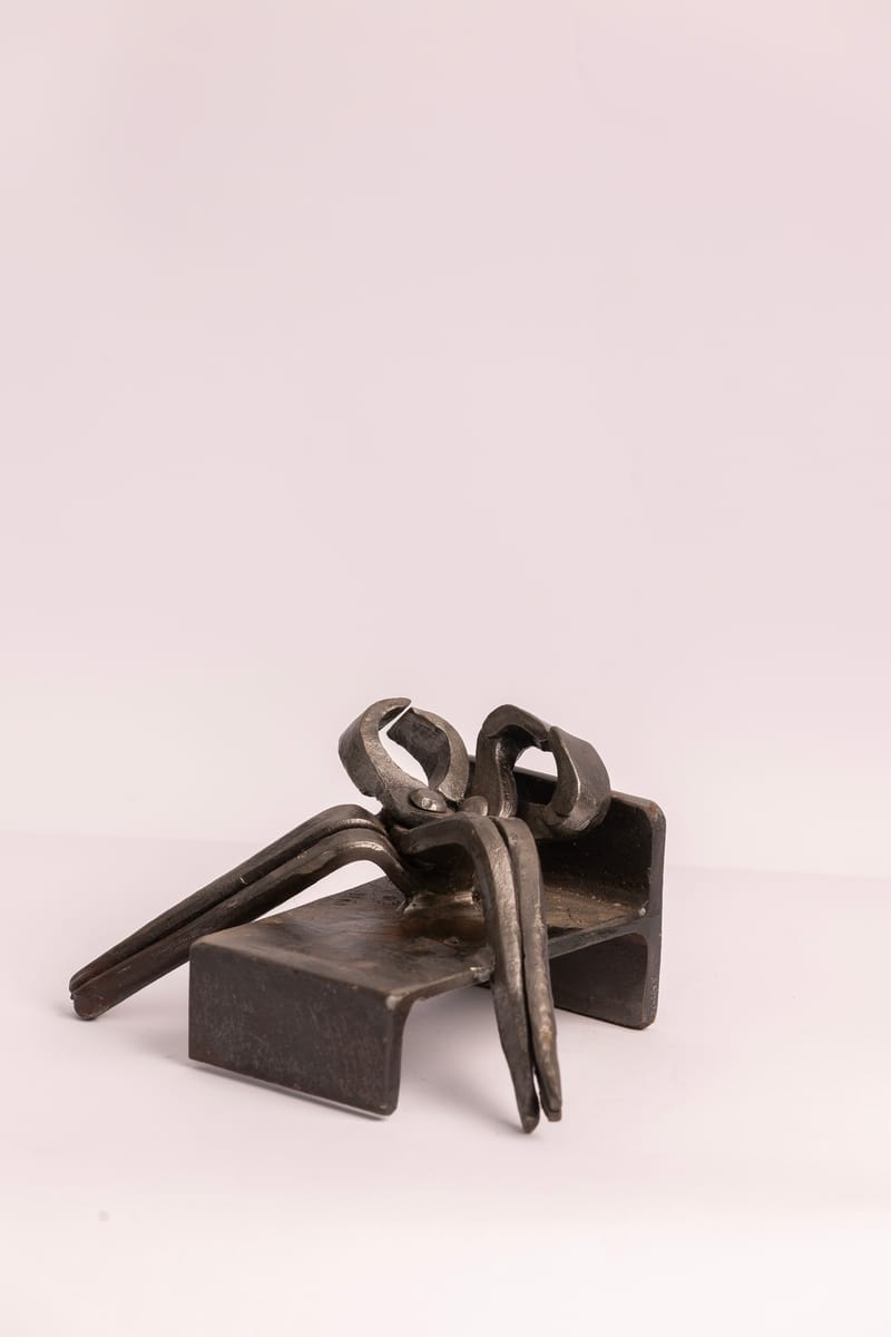 צילום פסלים בברז / עץ