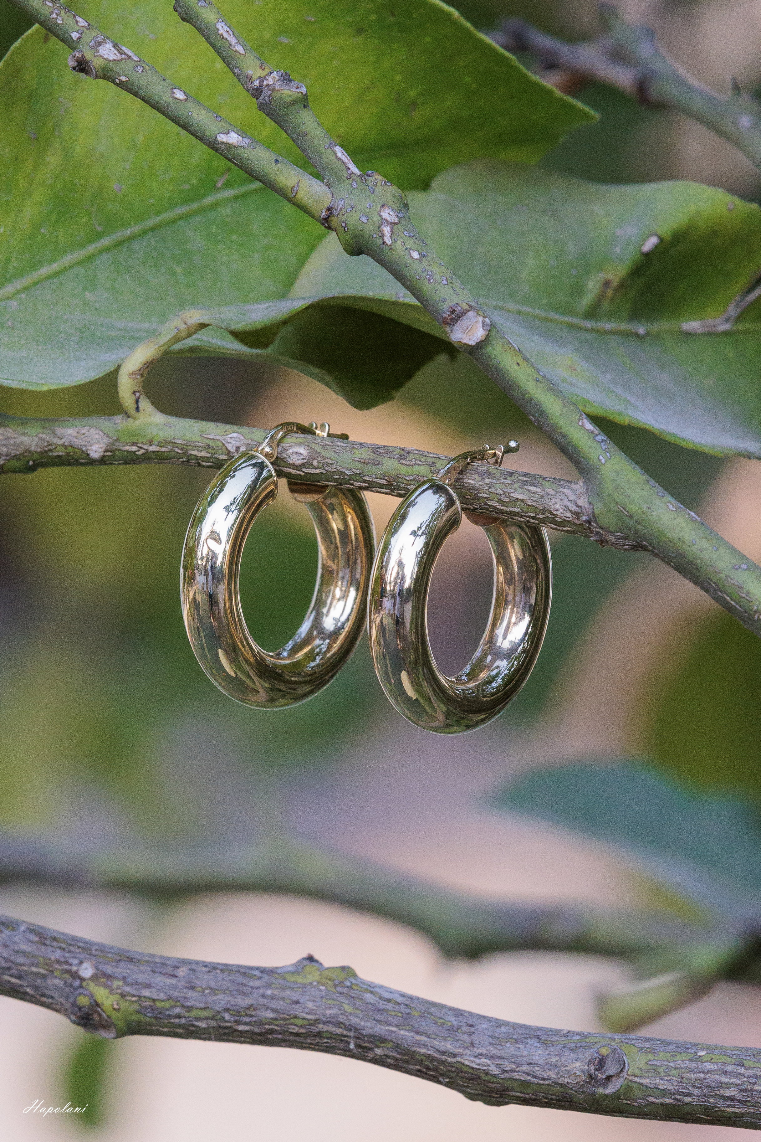 Product photography for websites, social media and print