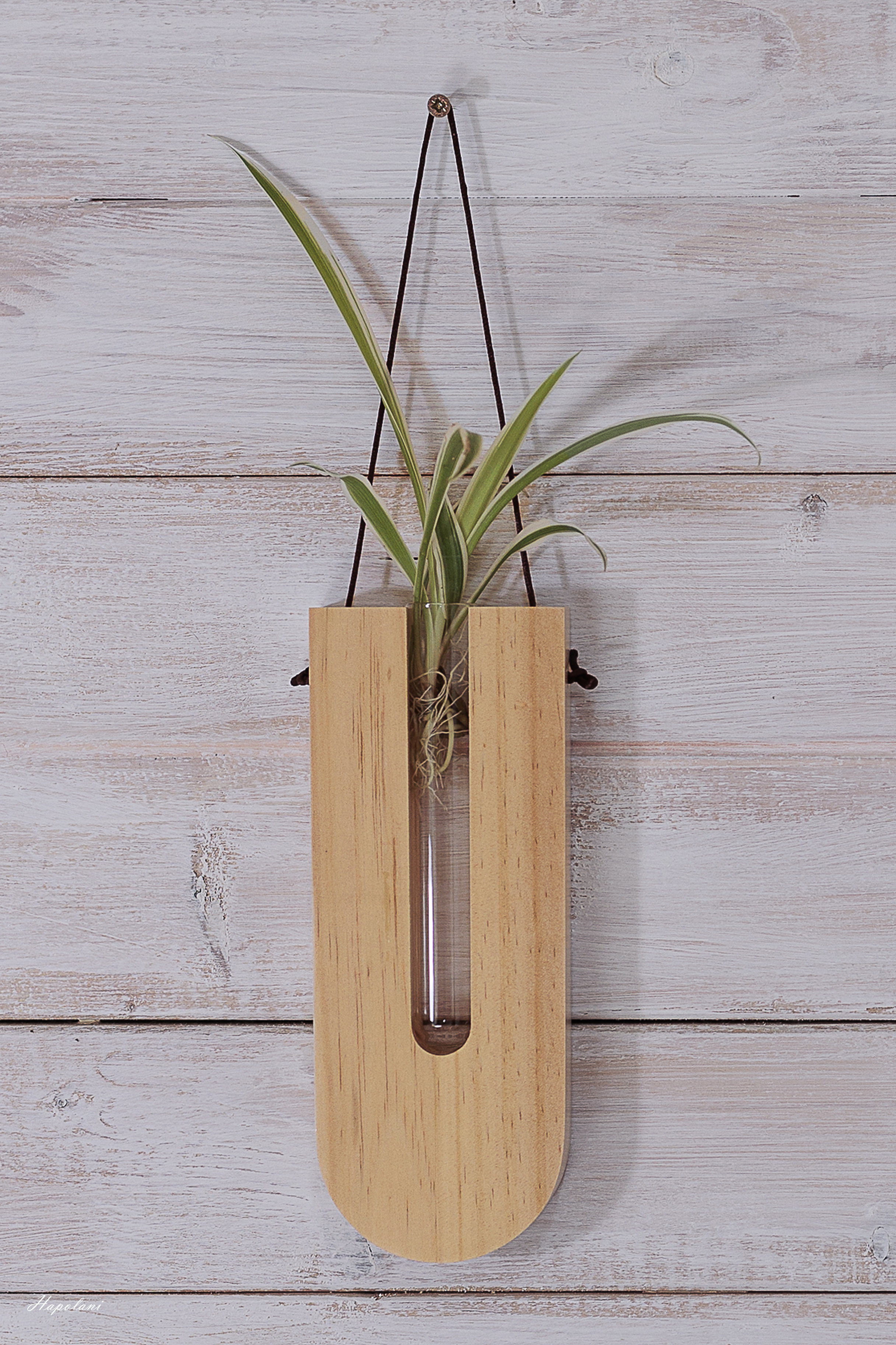 Product photography for websites, social media and print