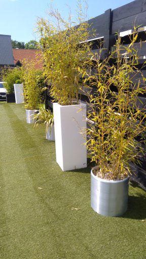 Manor Celebration of Life image